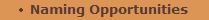 Naming Opportunities